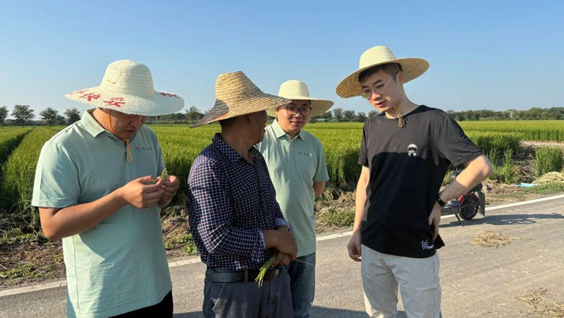 走基層 到一線丨情系嘉興稻鄉 見證現代農業發展蝶變